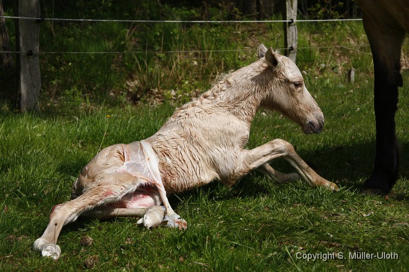 Hjoerdis 13 Min alt (7).JPG